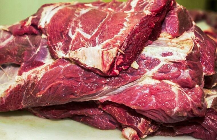 China suspende embargo à carne bovina brasileira