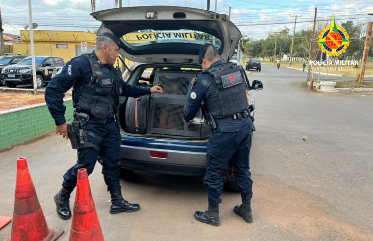 Suspeito de homicídio é preso em Santa Maria