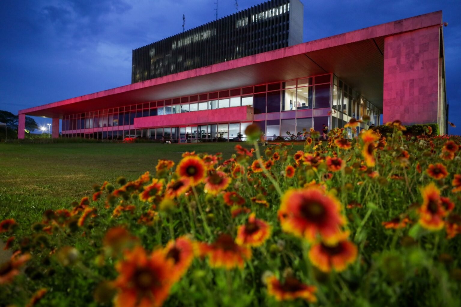 Outubro Rosa: DF triplica exames e reduz fila para mamografia em 80%