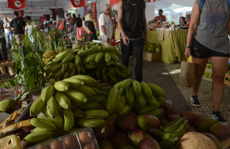Alimentos saudáveis e reforma agrária: RJ recebe 15ª Feira do MST
