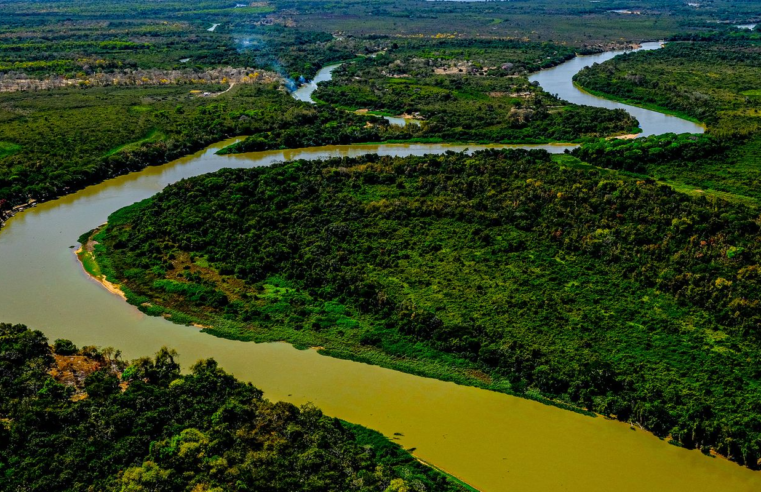 Lei do Pantanal é sancionada para garantir conservação do bioma