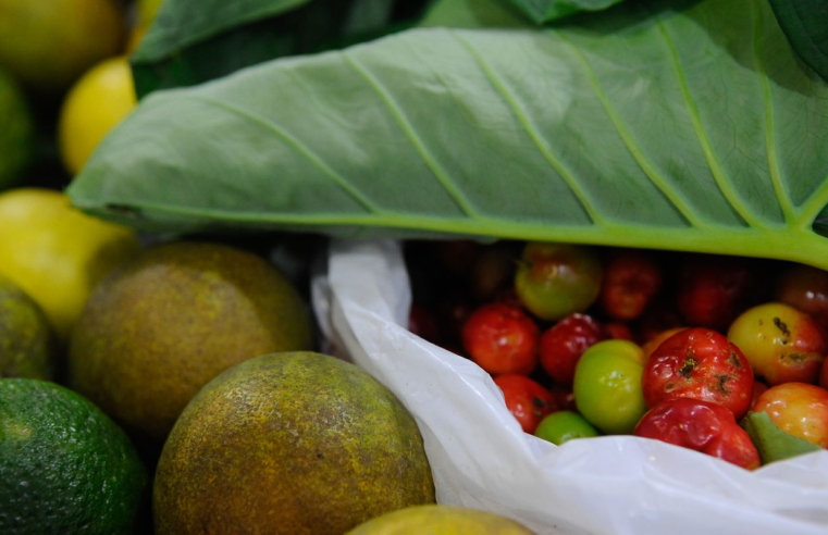 Registro de novos agrotóxicos segue em alta no Brasil, diz Mapa