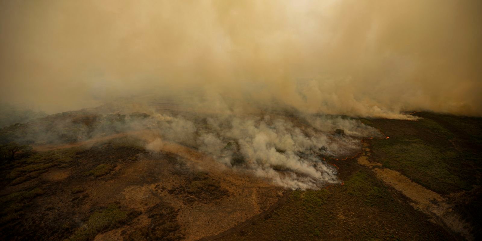 Pesquisa mede emissão de óxido nitroso na Amazônia e no Pantanal