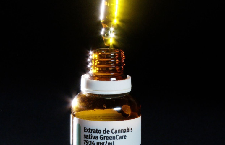 Governo de SP regulamenta fornecimento de cannabis medicinal pelo SUS