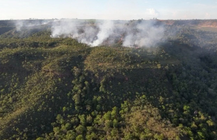 Incêndio atinge divisa do Santuário de Elefantes em Mato Grosso