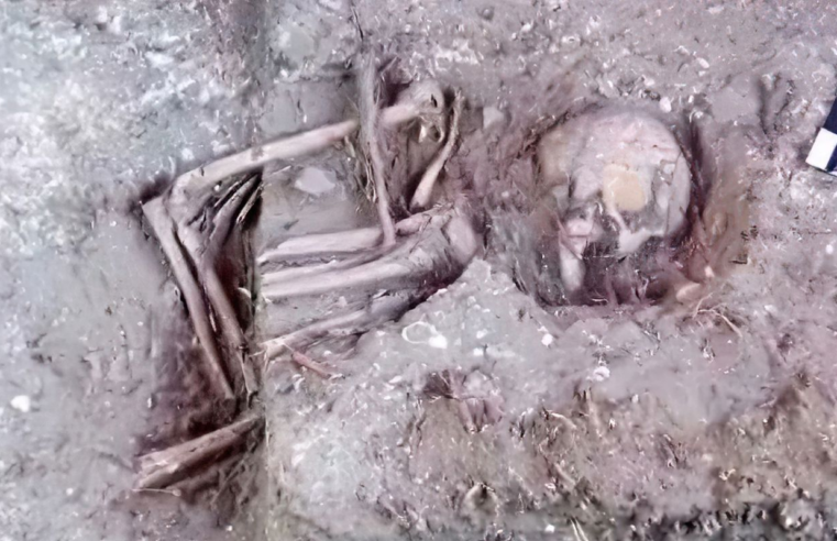 Construtora encontra ossadas e peças arqueológicas em obra no Maranhão