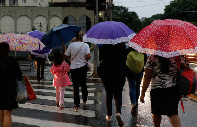 Chuvas em SP provocam alagamentos e queda de árvores