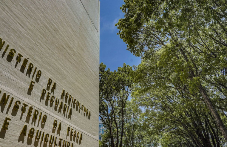 Ministério da Pesca e Aquicultura terá concurso para 264 temporários