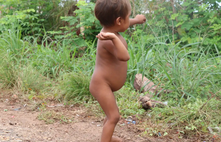 Garimpo ilegal ainda ameaça saúde em território yanomami