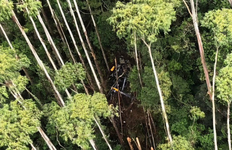 SP: polícias trabalham para abrir caminho até destroços de helicóptero