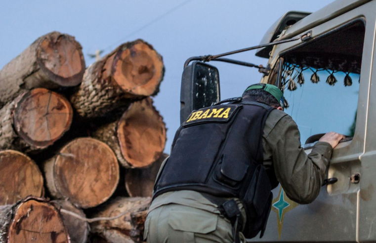 Servidores do Ibama prometem suspender fiscalização ambiental