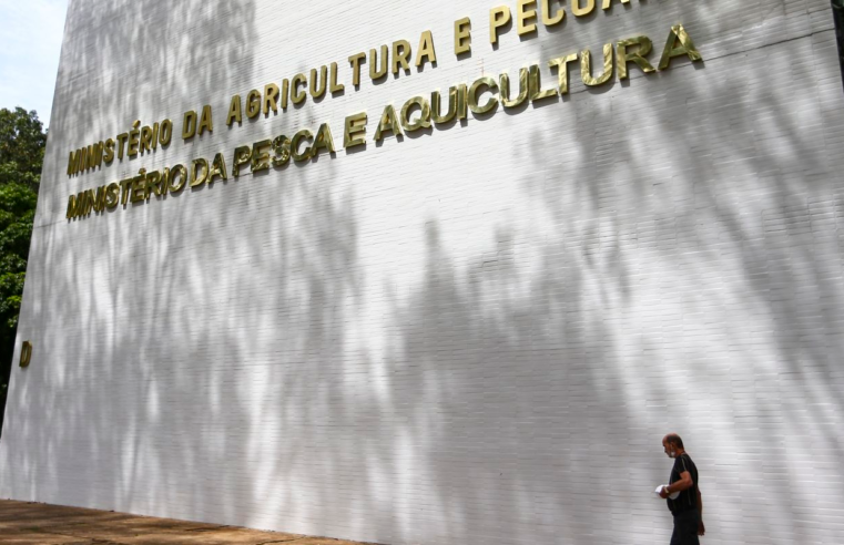 Ministério da Agricultura oferece 200 vagas no concurso unificado