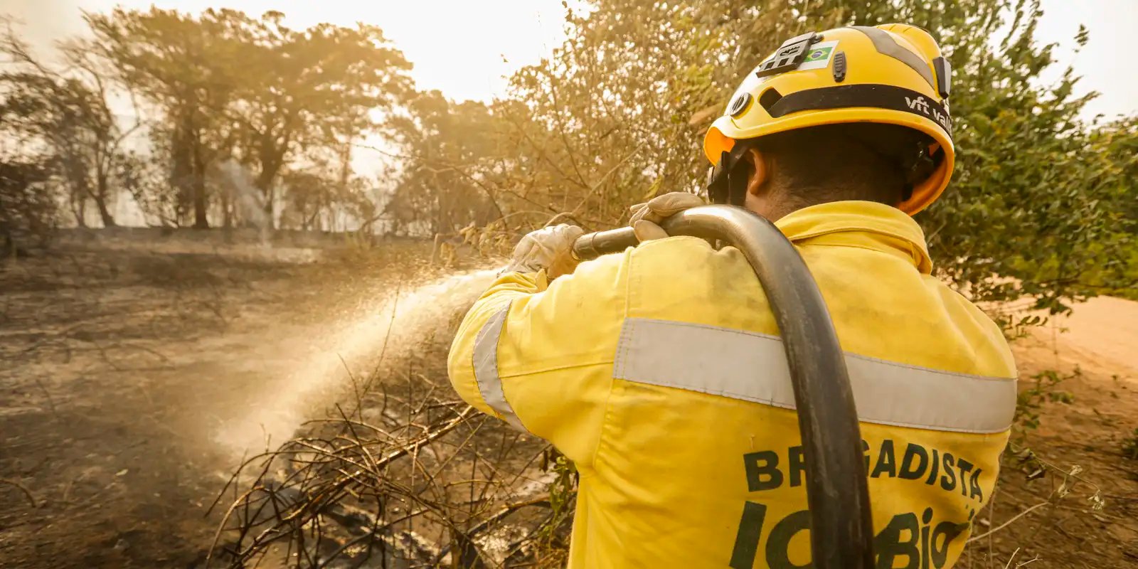 Mais de 17,3 milhões de hectares foram queimados em 2023 no país