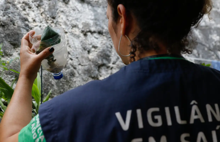 Dengue e chikungunya levam Minas Gerais a decretar emergência