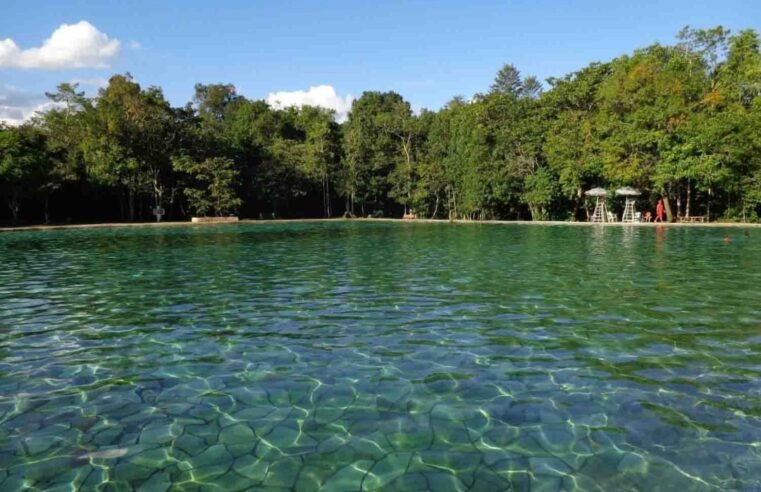 Brasília Verde: 8 Parques e Áreas Naturais Imperdíveis