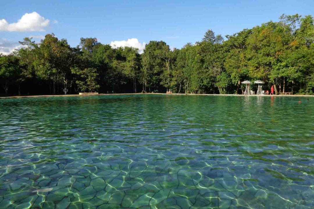 Brasília Verde: 8 Parques e Áreas Naturais Imperdíveis