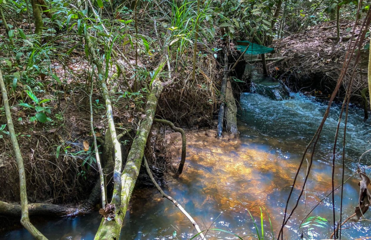 Pesquisa de longo prazo aponta impacto ambiental da agricultura