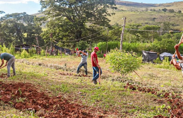 Justiça nega reintegração em fazenda ocupada pelo MST em Minas Gerais