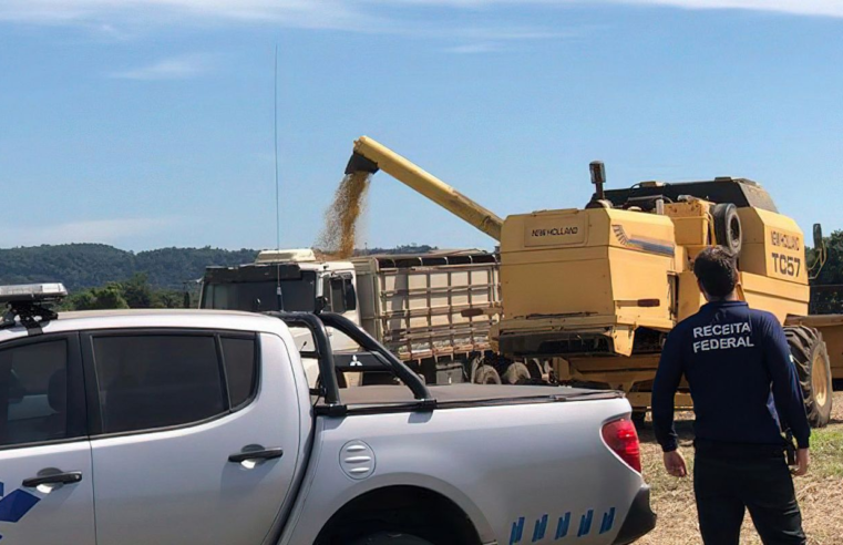 Operação Dagon: Receita investiga fraudes fiscais no agronegócio