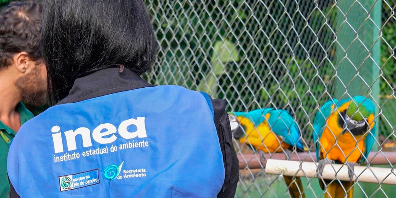 Animais silvestres são resgatados no Rio de Janeiro
