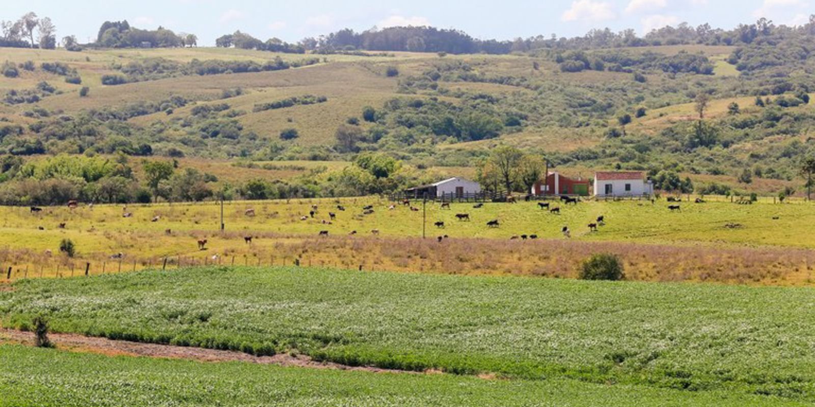 Pampa é o bioma brasileiro menos protegido por unidades de conservação