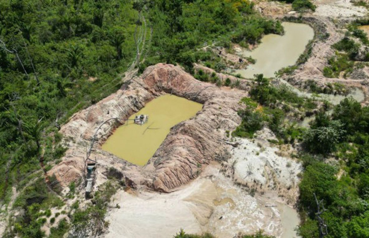Polícia Federal fecha três garimpos em Terra Indígena Kayapó no Pará