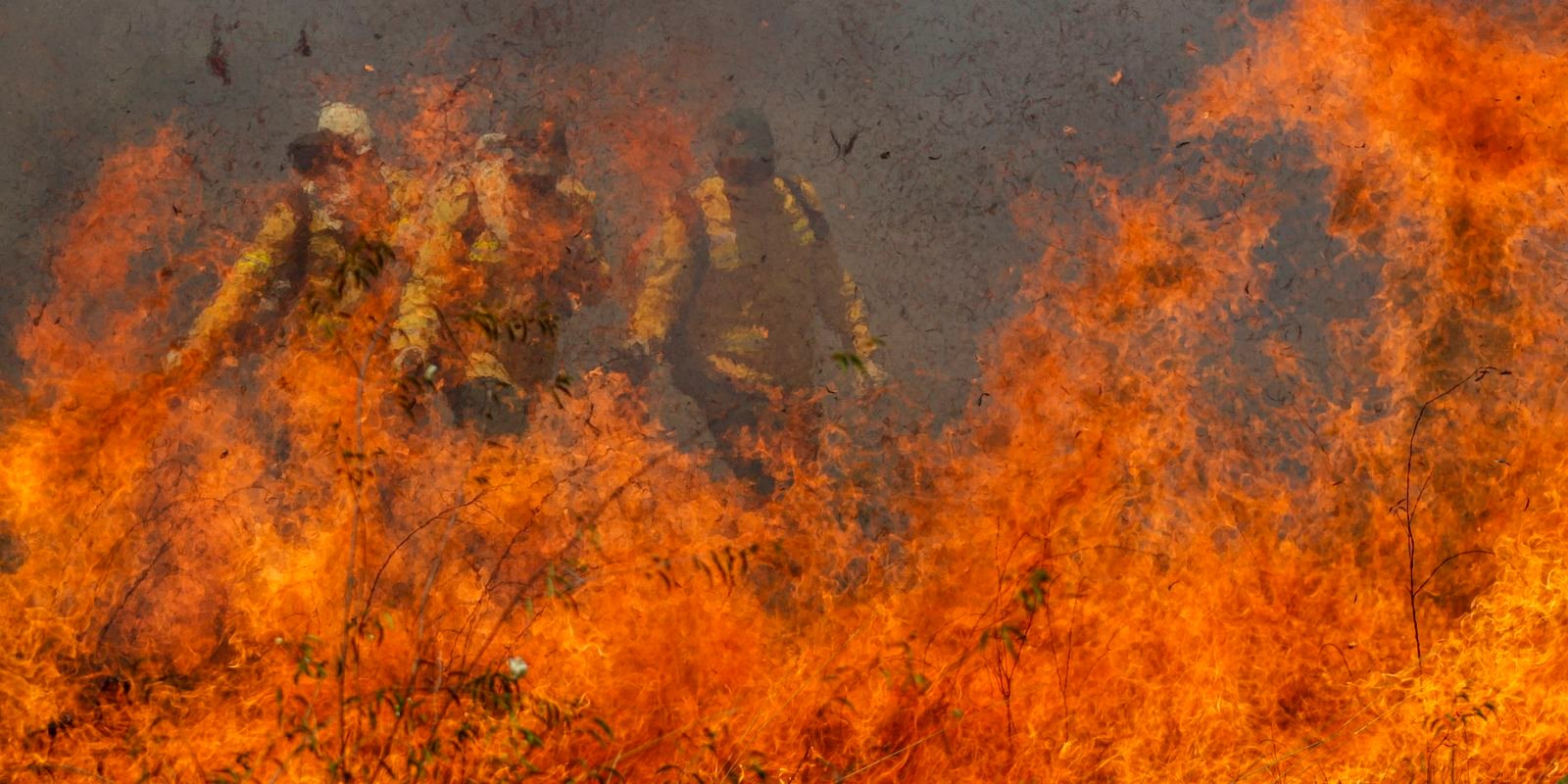 “Estamos em uma das piores situações”, diz Marina sobre Pantanal