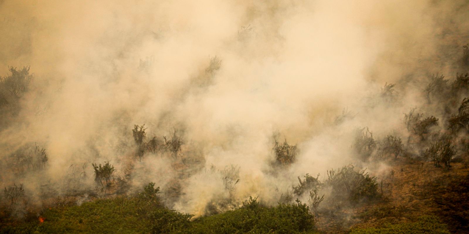 Governo vai liberar R$ 100 mi para combate a incêndios no Pantanal