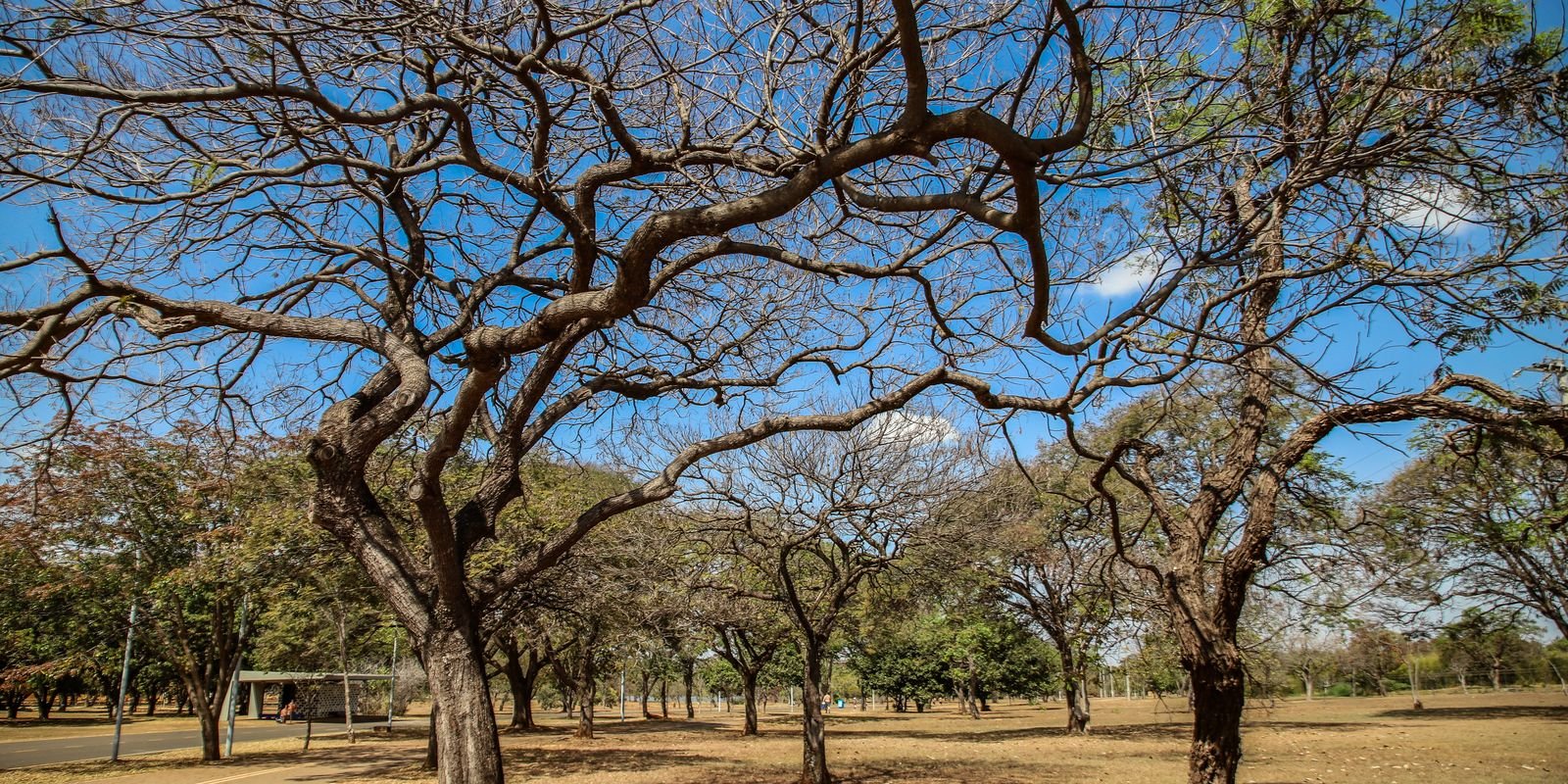 Inmet alerta sobre baixa umidade no Centro-Oeste e no Tocantins