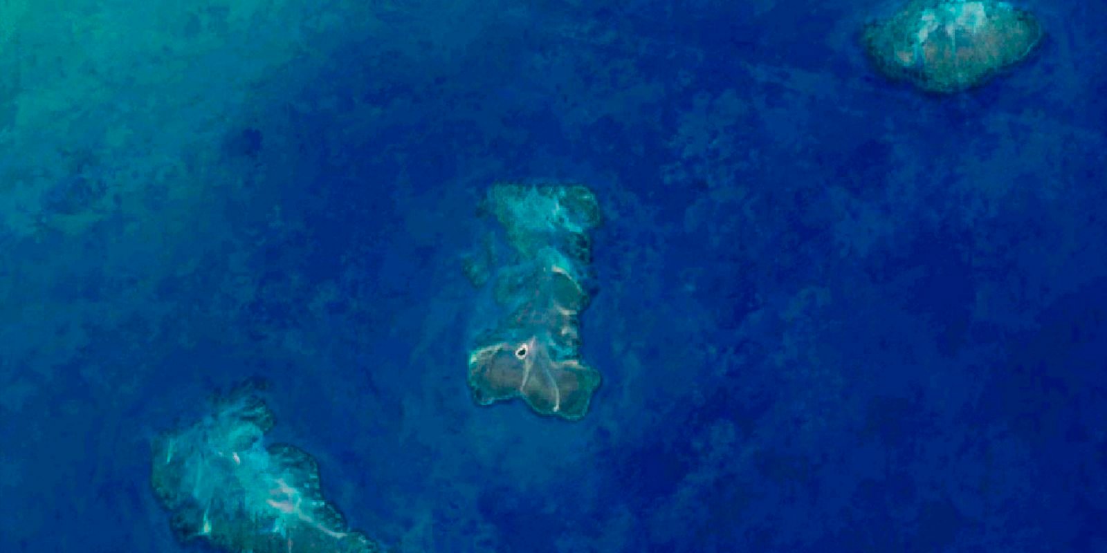 Pesquisa aponta 20,4 mil hectares de recifes de coral na costa do país