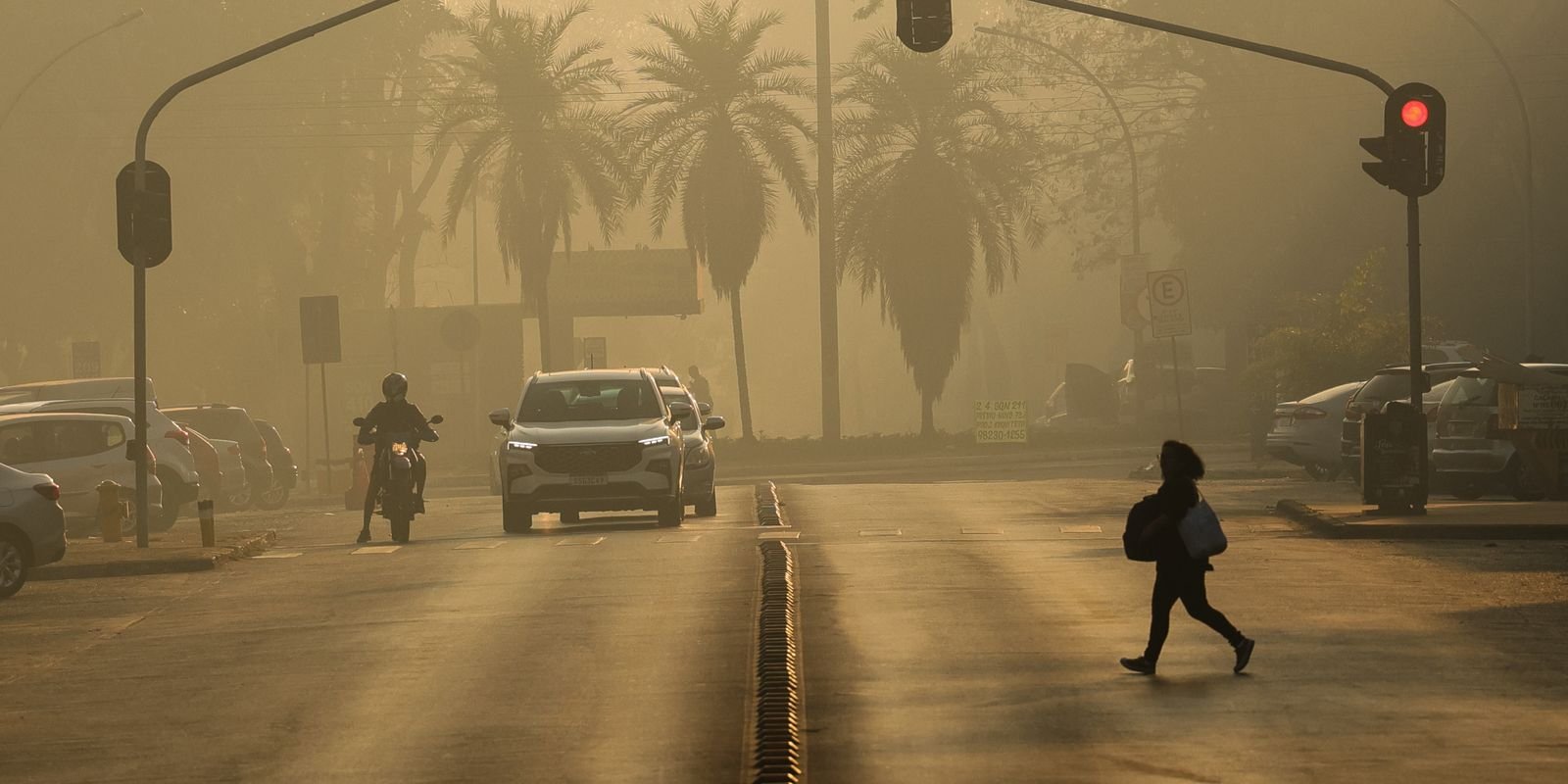 Incêndio no Parque de Brasília entra no 3º dia; fumaça se espalha