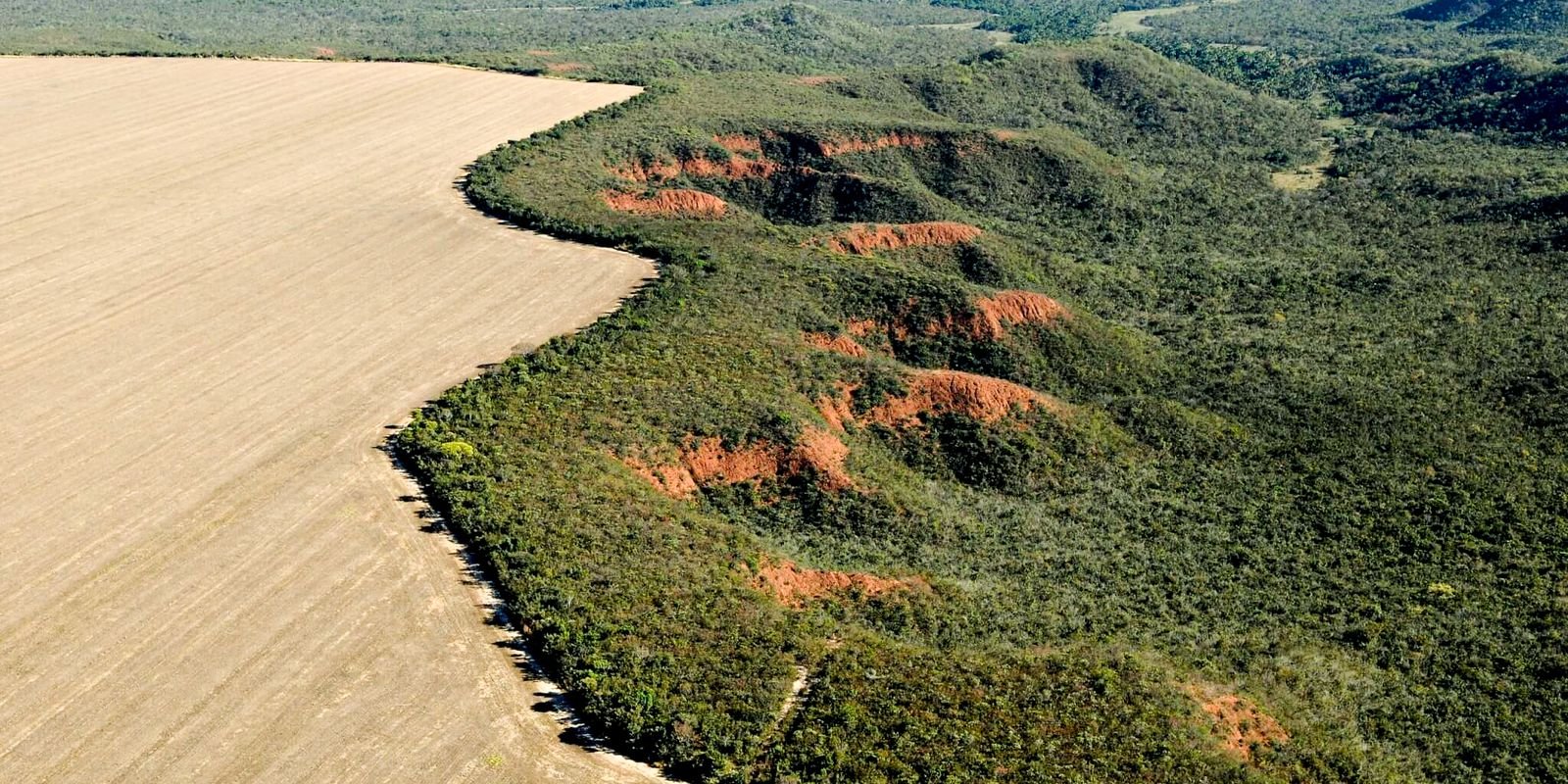 Cerrado: desmatamento emite 135 milhões de toneladas de CO2 desde 2023
