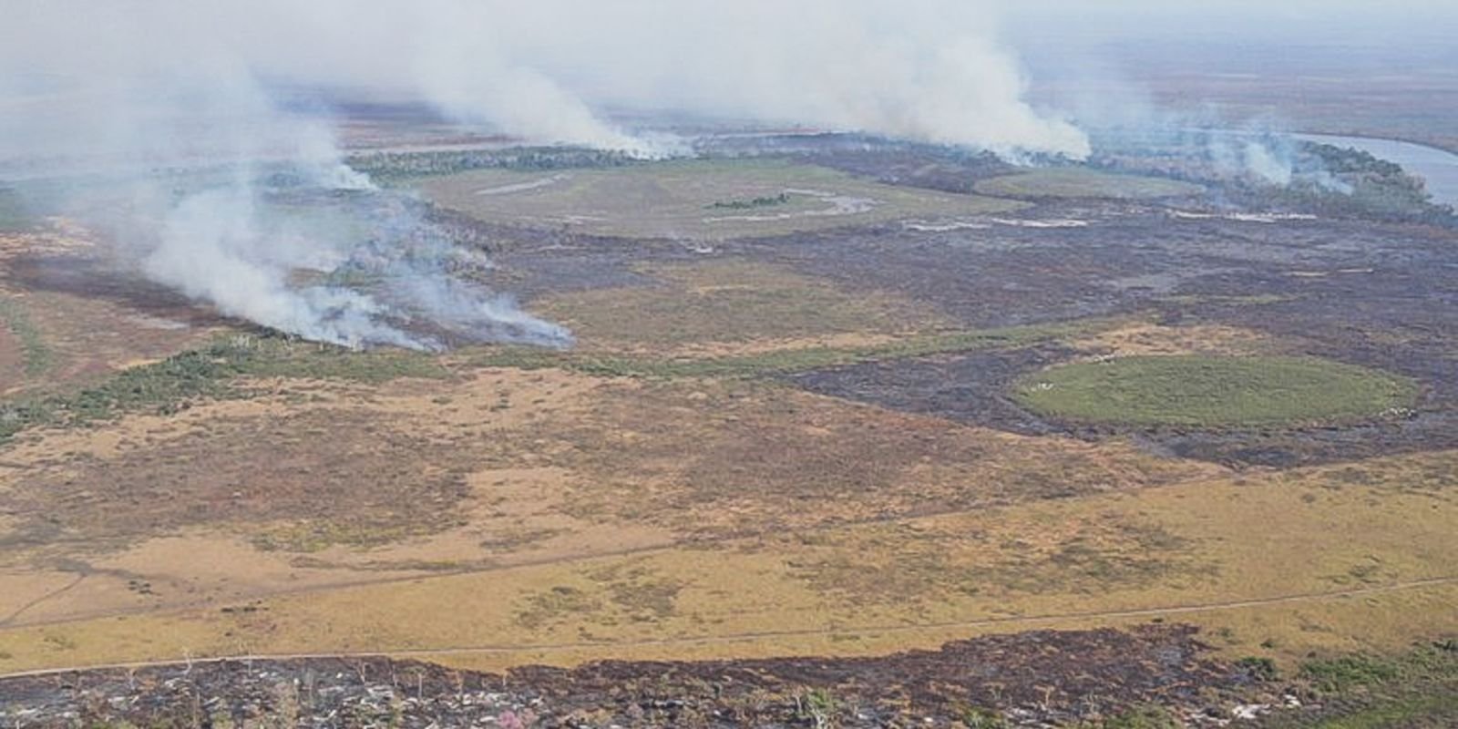 Suspeitos de incêndio criminoso no Pantanal são alvo de operação da PF