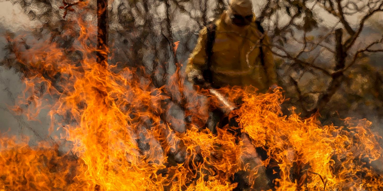Entenda as linhas de investigação dos incêndios florestais no país
