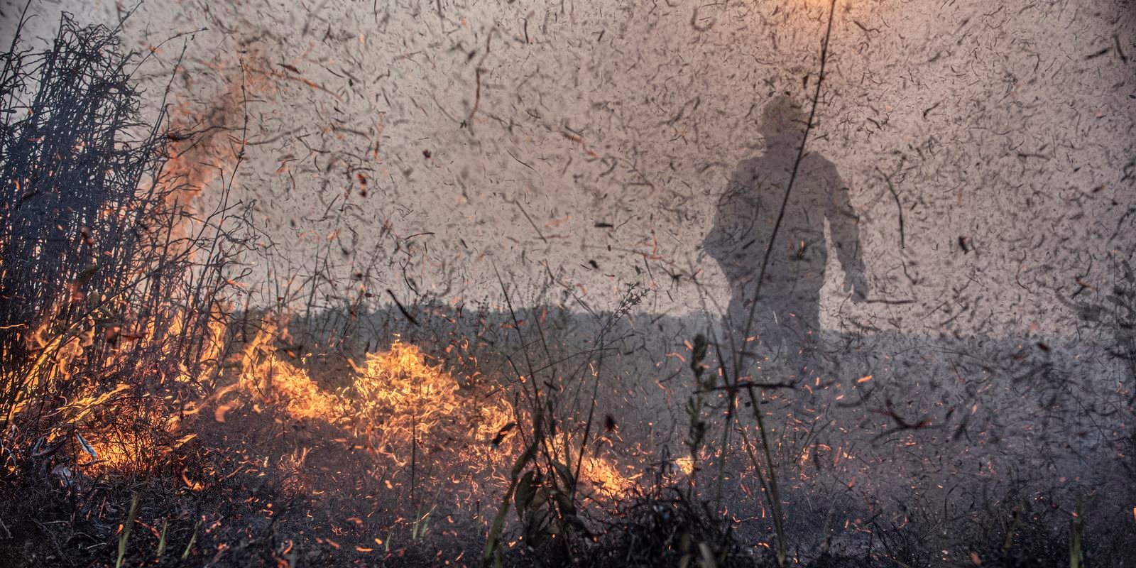 Focos de incêndios no Brasil já são 76% maior que em 2023