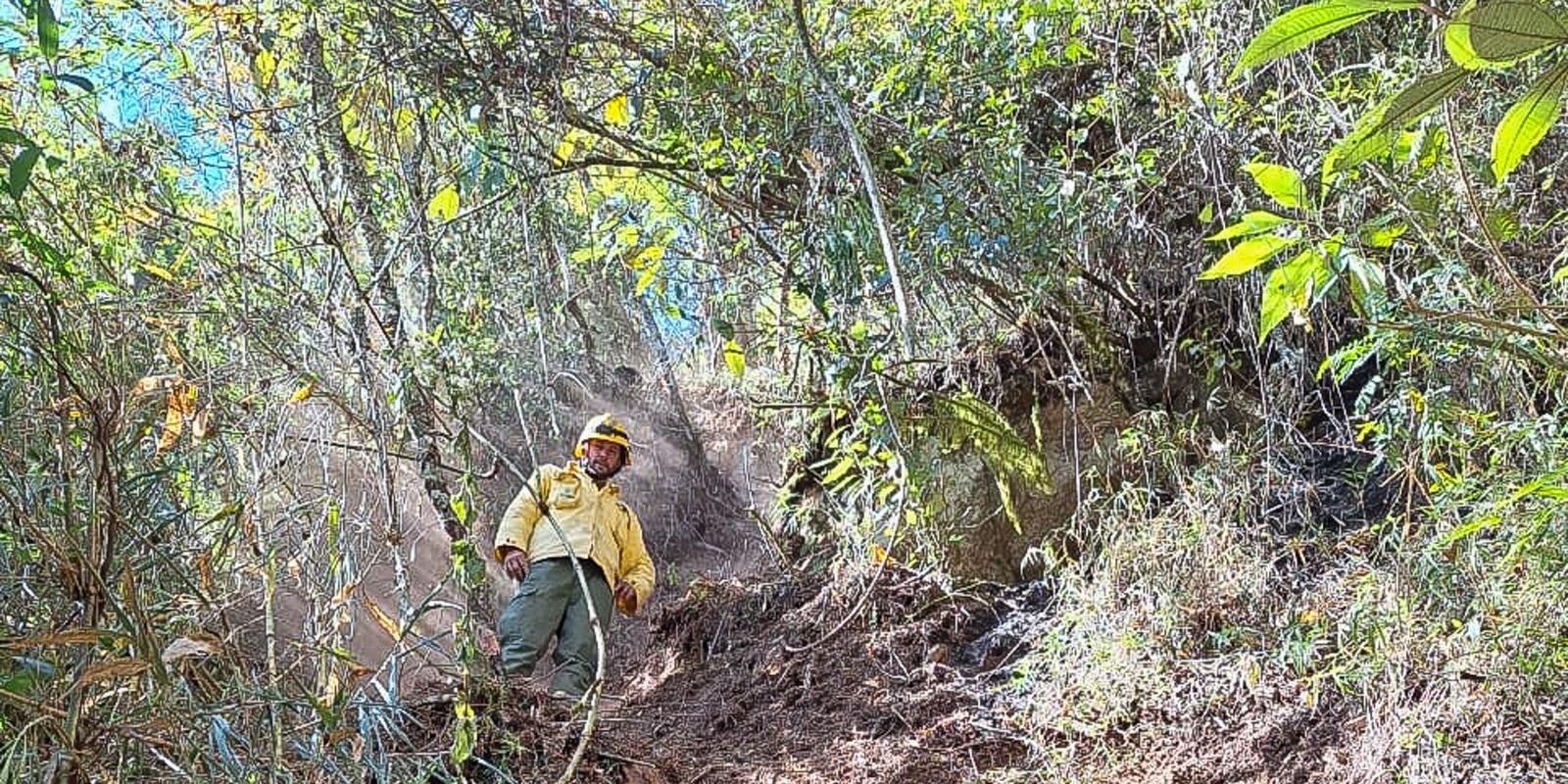 ICMBio multa Exército em 6,5 milhões por incêndio florestal em parque