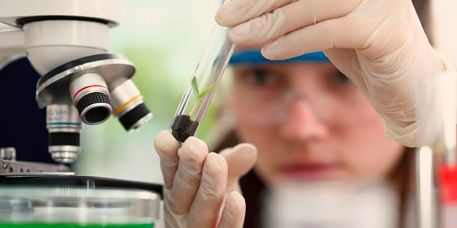 SBPC prorroga inscrição de alunas e universitárias em prêmio