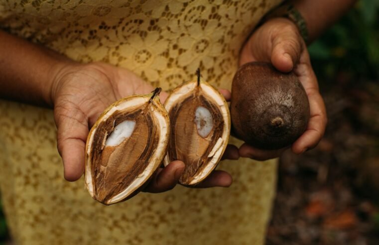 Fundos comunitários garantem direitos de povos tradicionais