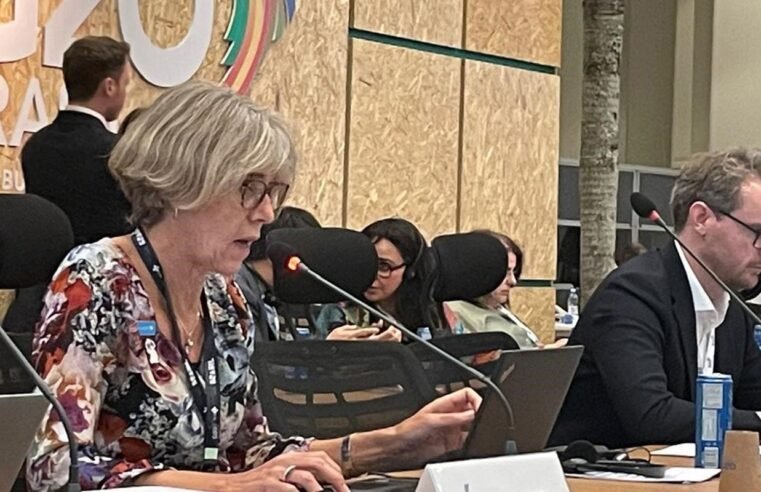 Unicef destaca avanço em declarações do G20 sobre saúde e clima