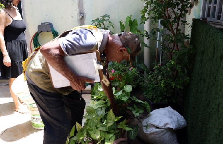 Dia D combate focos de mosquito da dengue em todo o país