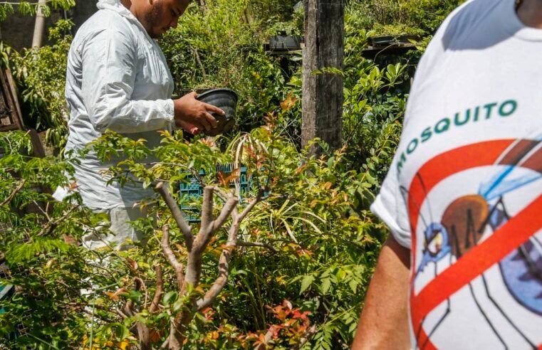 Dia D contra dengue promove ações de conscientização em todo Brasil