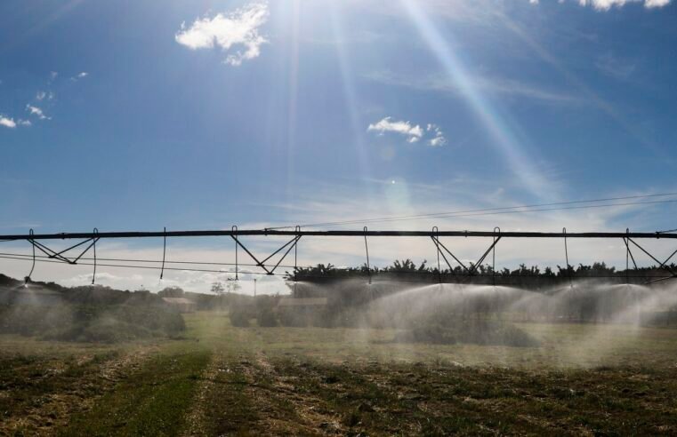 Entenda como ficam exportações agrícolas após acordo Mercosul-UE