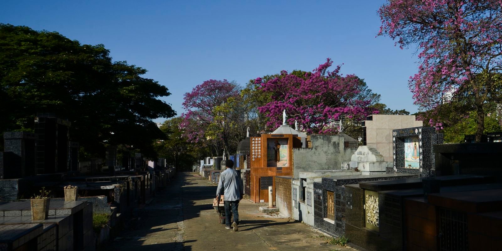 Audiência no STF discute preços cobrados em cemitérios de São Paulo