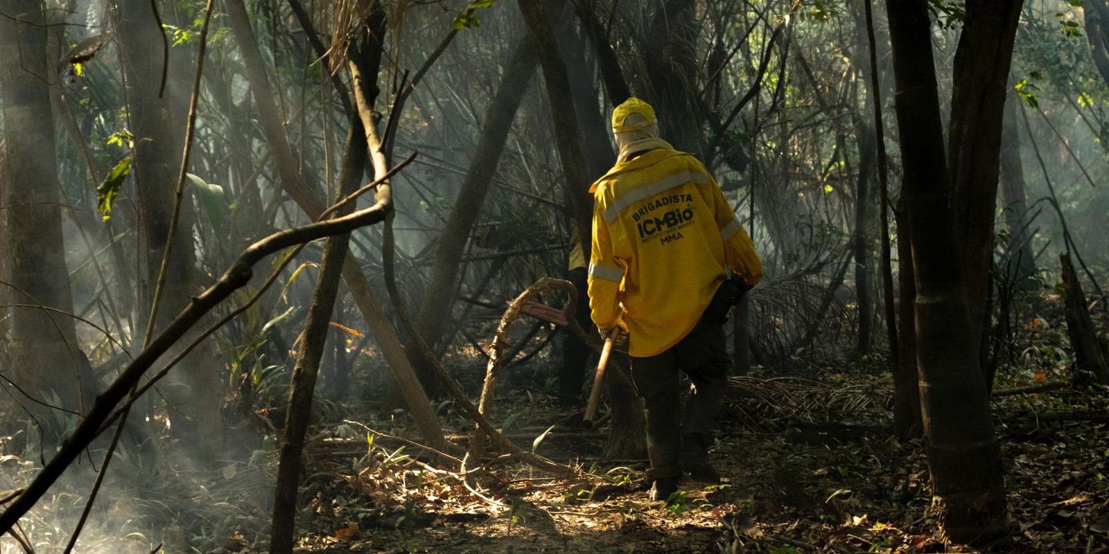 Amazônia tem o maior número de queimadas e incêndios em 17 anos