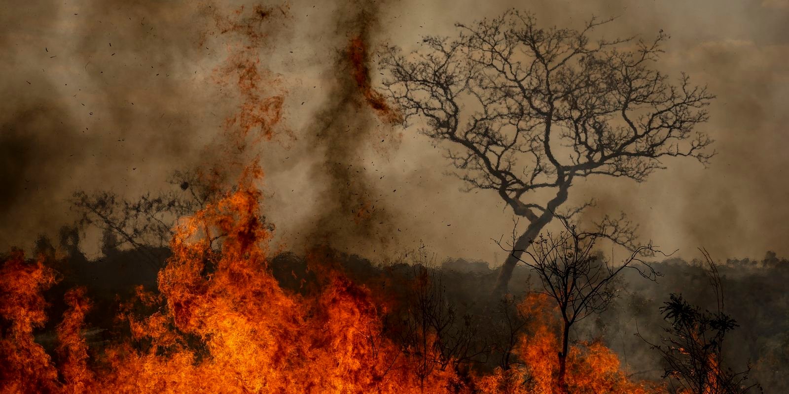 Desastres climáticos aumentaram 250% nos últimos quatro anos no país