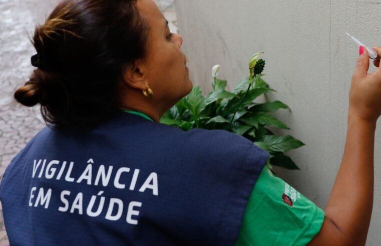 Casos de dengue em 2024 passam de 6,4 milhões; mortes somam 5,9 mil