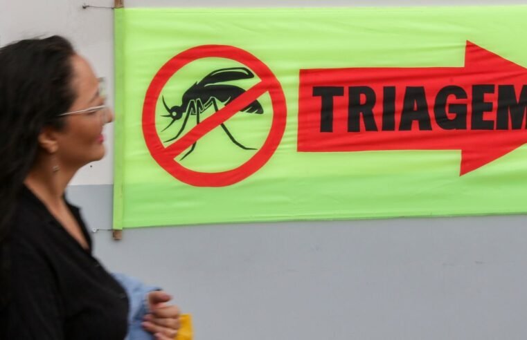 Entenda o que são sorotipos da dengue e por que o tipo 3 preocupa
