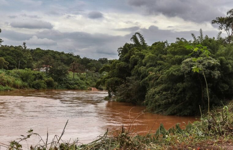 Estudo detecta presença de metais na urina de crianças em Brumadinho