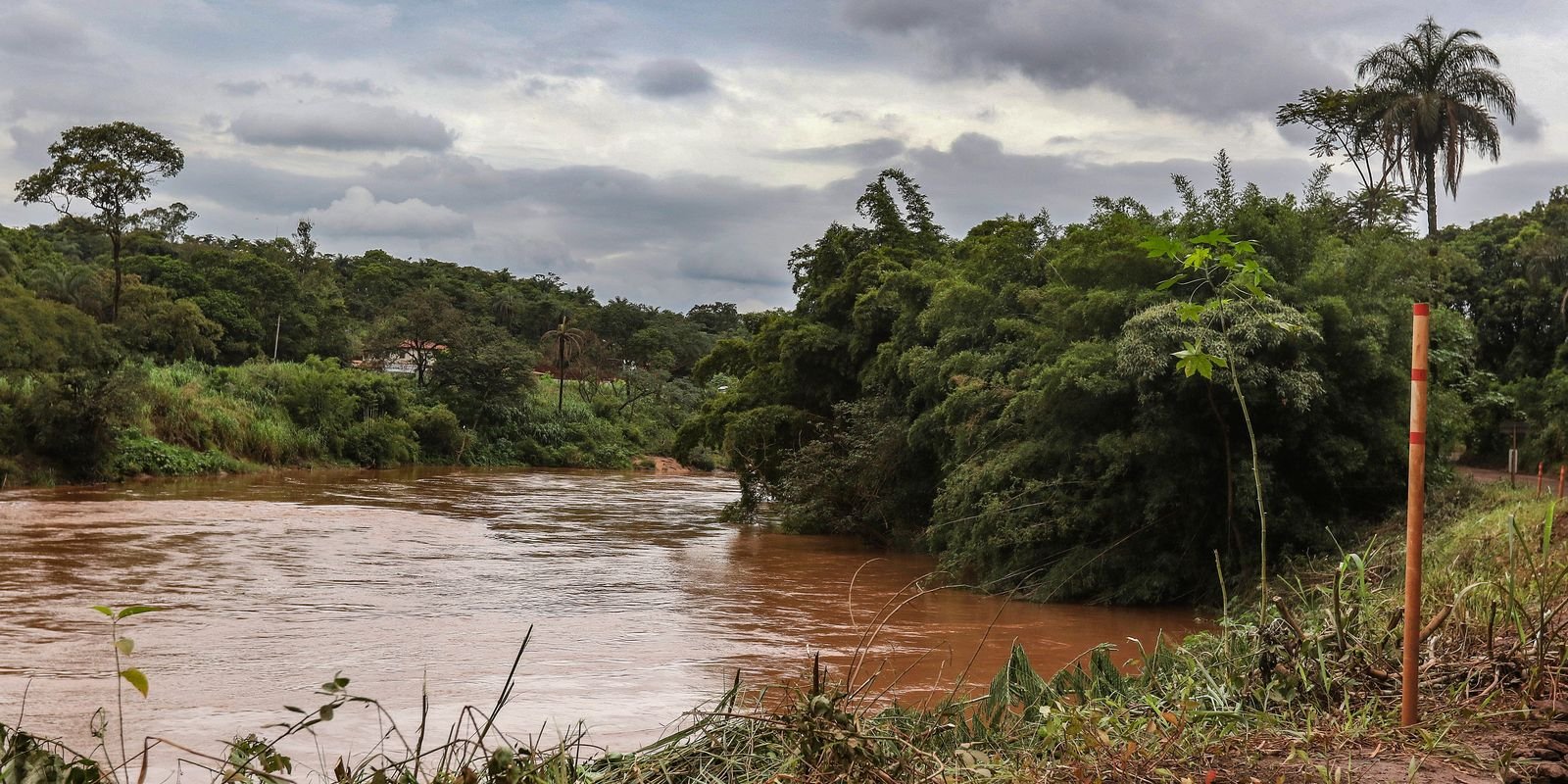 Estudo detecta presença de metais na urina de crianças em Brumadinho