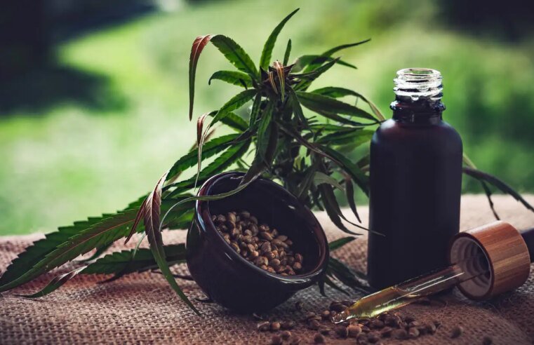 São Paulo veta PL que amplia acesso a itens de cannabis medicinal